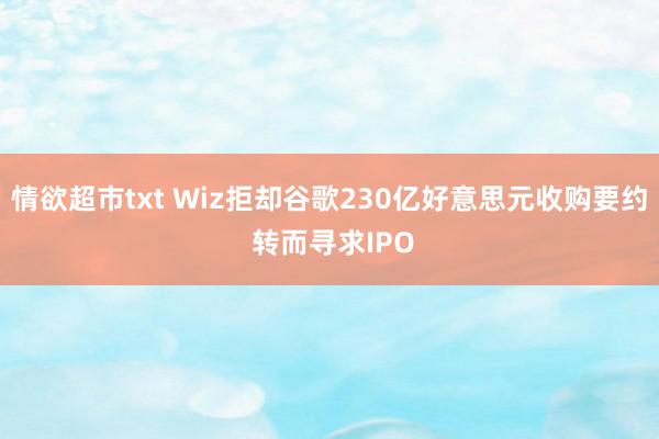 情欲超市txt Wiz拒却谷歌230亿好意思元收购要约 转而寻求IPO