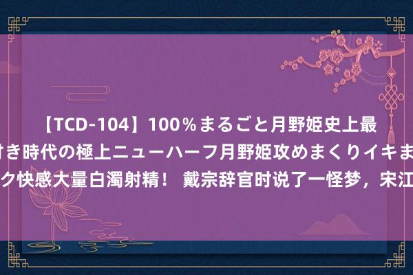 【TCD-104】100％まるごと月野姫史上最強ベスト！ 究極の玉竿付き時代の極上ニューハーフ月野姫攻めまくりイキまくりファック快感大量白濁射精！ 戴宗辞官时说了一怪梦，宋江却假装没听懂，戴宗临终前大笑得善终