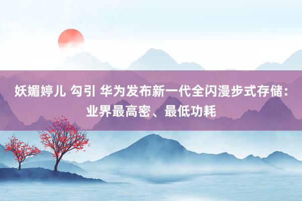 妖媚婷儿 勾引 华为发布新一代全闪漫步式存储：业界最高密、最低功耗