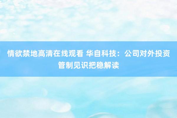 情欲禁地高清在线观看 华自科技：公司对外投资管制见识把稳解读