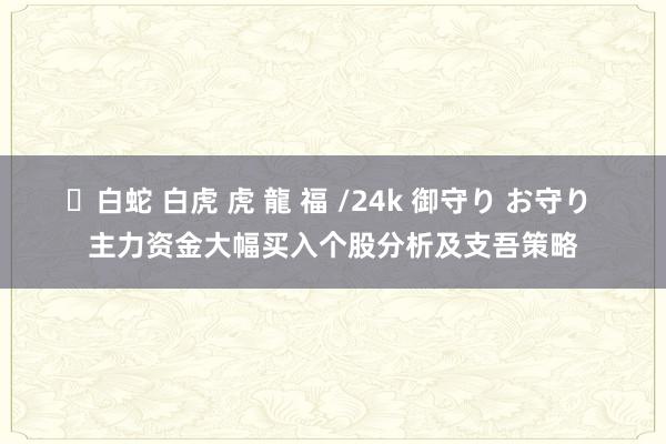 ✨白蛇 白虎 虎 龍 福 /24k 御守り お守り 主力资金大幅买入个股分析及支吾策略
