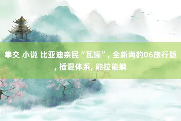 拳交 小说 比亚迪亲民“瓦罐”, 全新海豹06旅行版, 插混体系, 能拉能躺