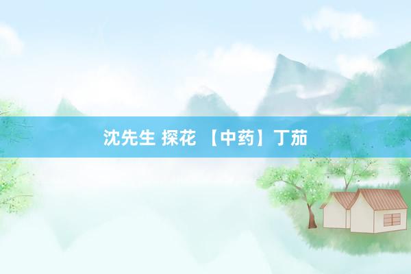 沈先生 探花 【中药】丁茄