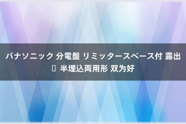 パナソニック 分電盤 リミッタースペース付 露出・半埋込両用形 双为好