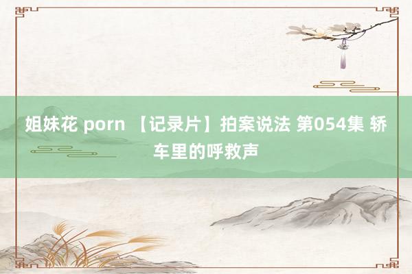 姐妹花 porn 【记录片】拍案说法 第054集 轿车里的呼救声